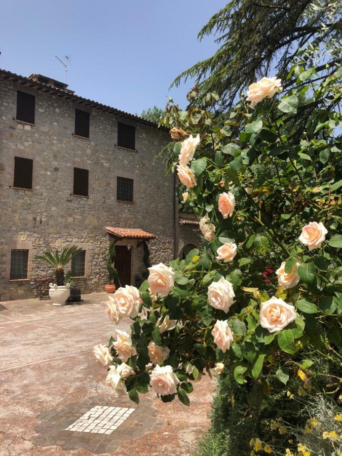 Agriturismo Beata Vanna Fabro Exterior photo