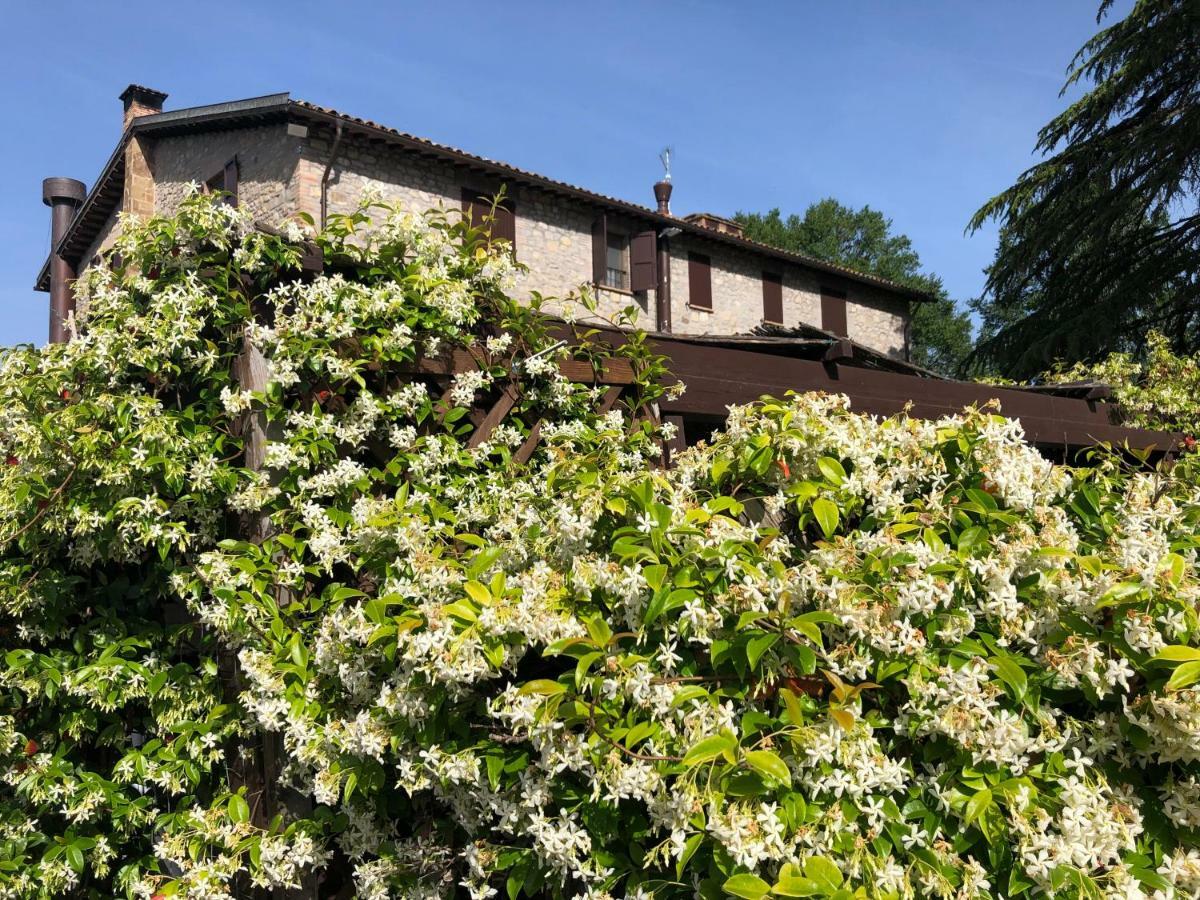 Agriturismo Beata Vanna Fabro Exterior photo